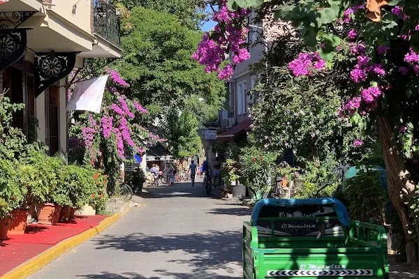 Büyükada Maden Mahallesi Muhtarlığı - Resim 11