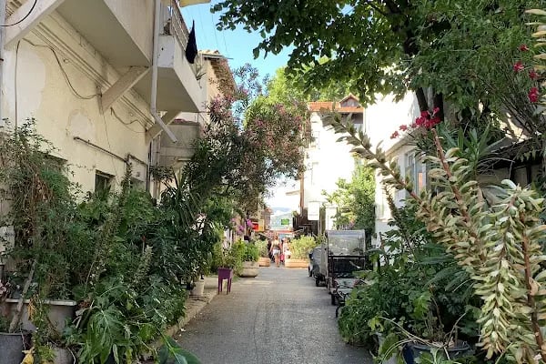 Büyükada Maden Mahallesi Muhtarlığı - Resim 8