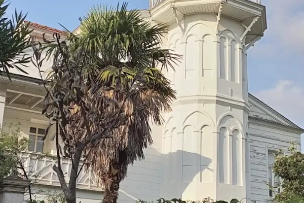 Büyükada Maden Mahallesi Muhtarlığı - Resim 17