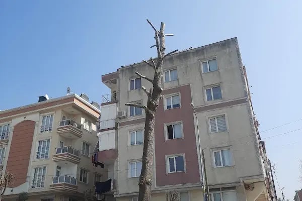 Avcılar Belediyesi - Resim 12