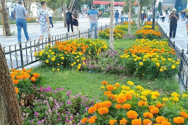 Avcılar Belediyesi - Resim 11