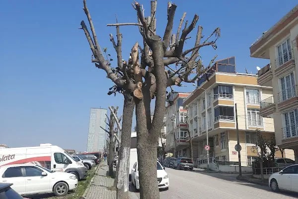 Avcılar Belediyesi - Resim 2