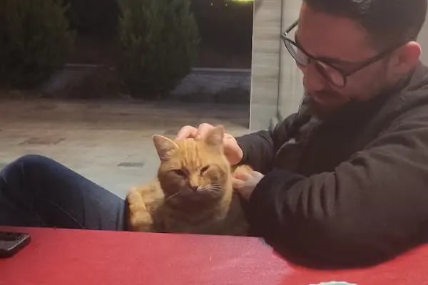 Doğa Café-Billiards - Resim 16