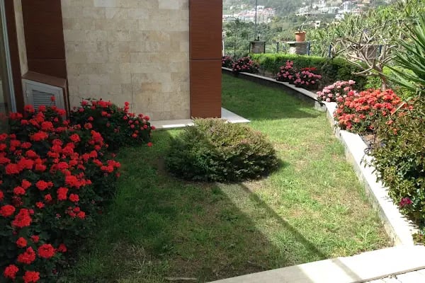 Aramis Terrace 1 - Resim 10