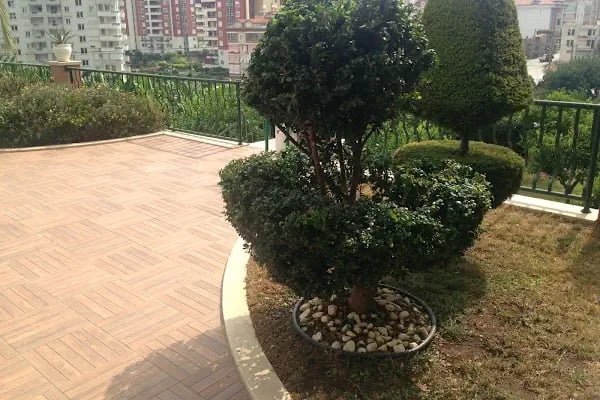 Aramis Terrace 1 - Resim 15
