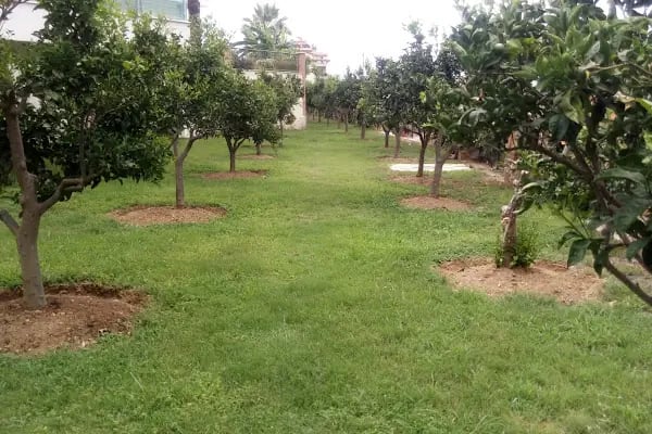 Aramis Terrace 1 - Resim 4