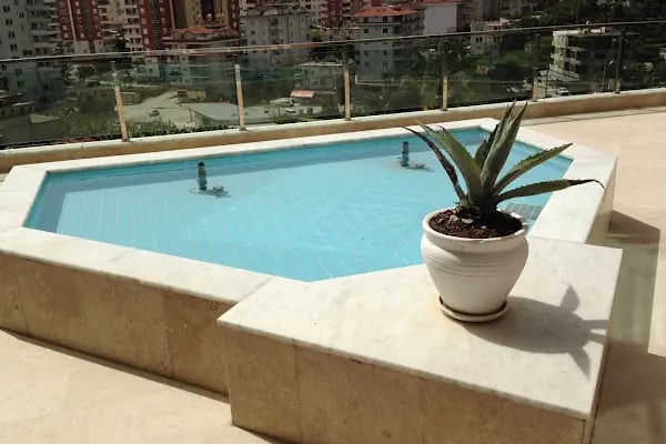 Aramis Terrace 1 - Resim 6