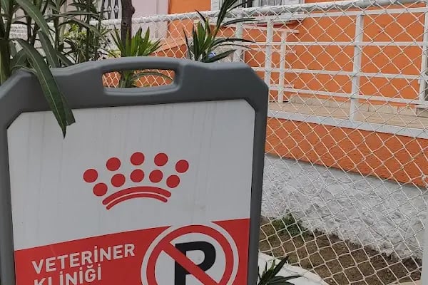 Batı Veteriner Kliniği - Resim 6
