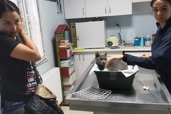Batı Veteriner Kliniği - Resim 7