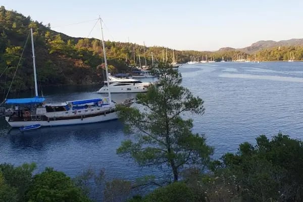 Bodrum Bitez Aktur Tatil Sitesi Müstakil Evler - Resim 19