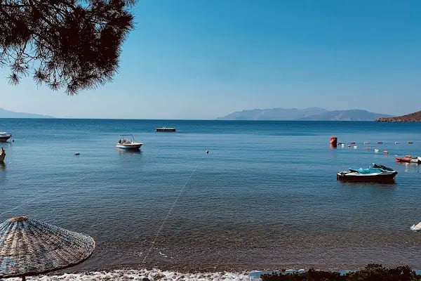 Bodrum Bitez Aktur Tatil Sitesi Müstakil Evler - Resim 20