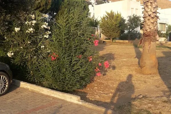 Kadıkale 90 EVLER - Resim 3