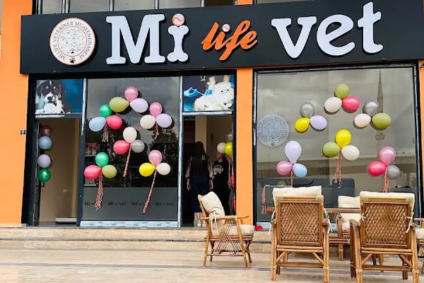 Mi Life Vet Veteriner Muayenehanesi - Resim 4