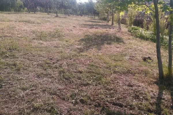 Karapürçek İslami İlimler Külliyesi - Resim 6