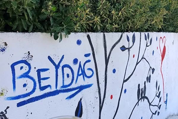 BEYDAĞ RESTAURANT - Resim 3