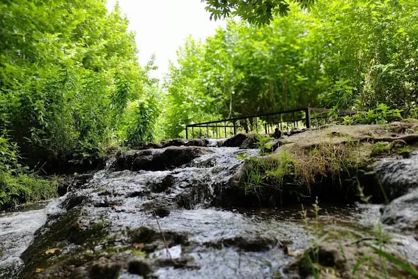 Mardin Yardere Dicle Kamp Alanı - Resim 14