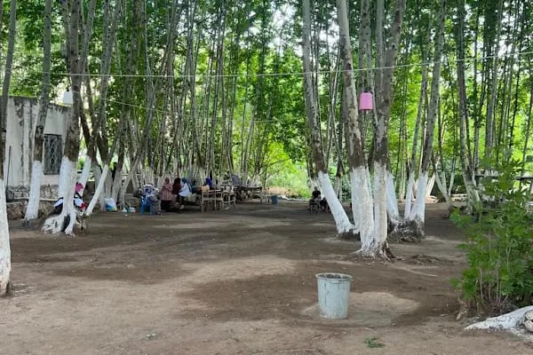 Mardin Yardere Dicle Kamp Alanı - Resim 12