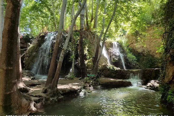 Mardin Yardere Dicle Kamp Alanı - Resim 15