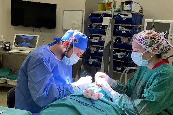 Op. Dr. Ufuk ÜRDEM Göz Hastalıkları ve Cerrahisi Uzmanı. Lazer, Akıllı Lens, Göz Kapağı Estetiği, Şaşılık, Katarakt - Resim 15