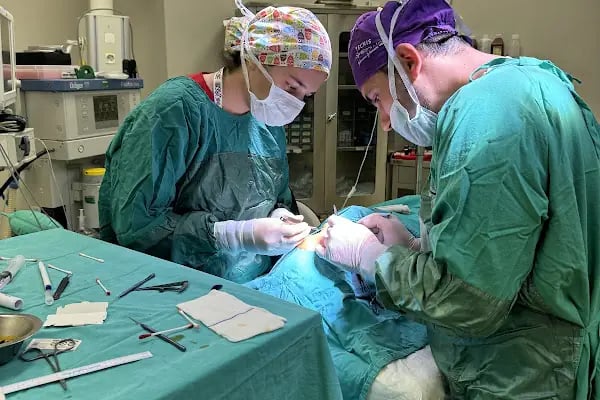Op. Dr. Ufuk ÜRDEM Göz Hastalıkları ve Cerrahisi Uzmanı. Lazer, Akıllı Lens, Göz Kapağı Estetiği, Şaşılık, Katarakt - Resim 18