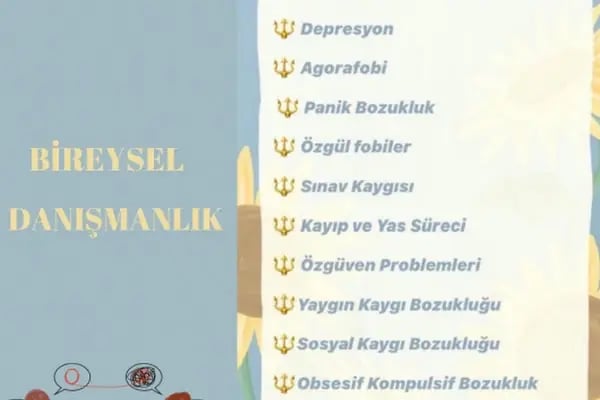 Psk. Elif Demir Akdeniz, Psikoloji - Resim 6