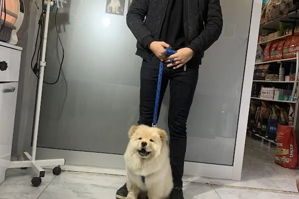Doğa Veteriner Kliniği - Resim 6