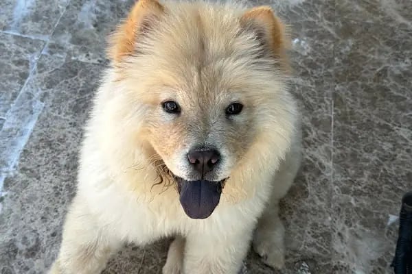Doğa Veteriner Kliniği - Resim 11