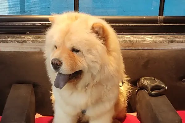 Doğa Veteriner Kliniği - Resim 16