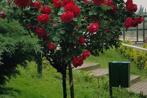 Gardenya-2 Sitesi - Resim 7