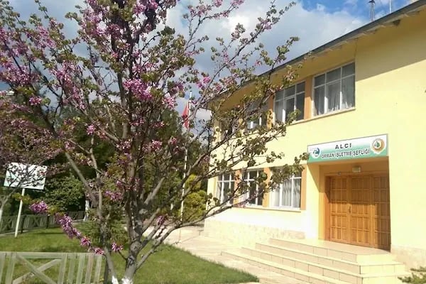 Alcı - Resim 14