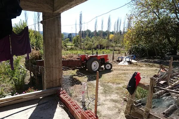 Alcı - Resim 13