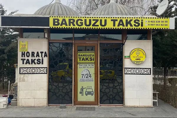 Barguzu Bostanbaşı Horata Taksi - Resim 2