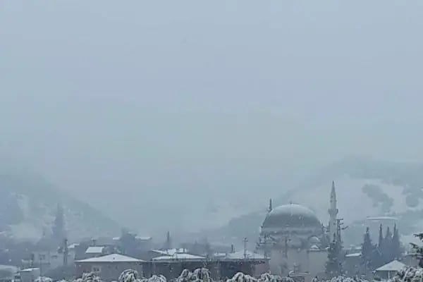 Altınüzüm - Resim 14