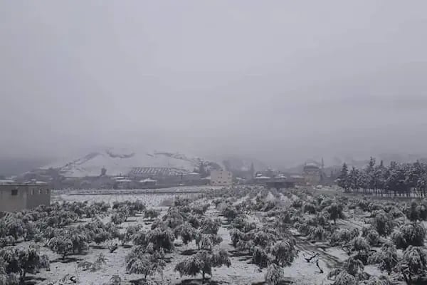 Altınüzüm - Resim 6