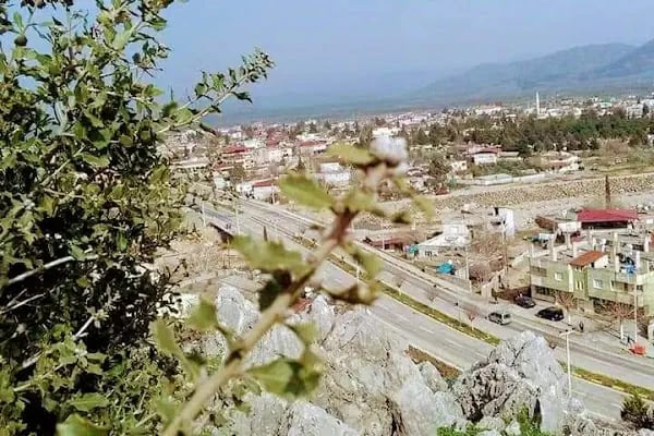 Altınüzüm - Resim 5