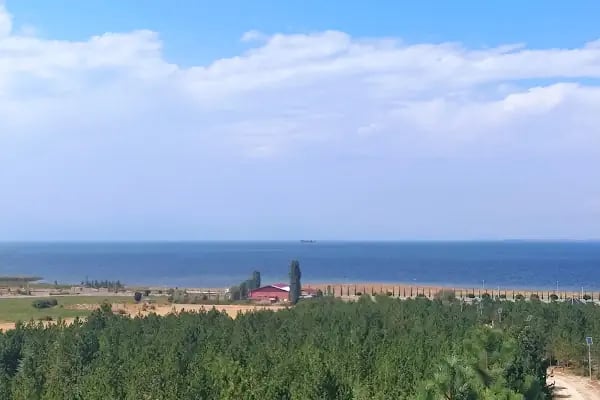 Çamlıtepe panorama restorant - Resim 14