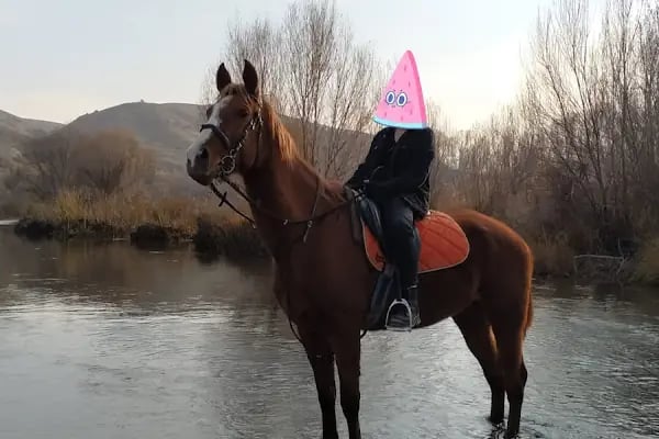 Gölgeyele Binicilik Spor Kulübü - Resim 10