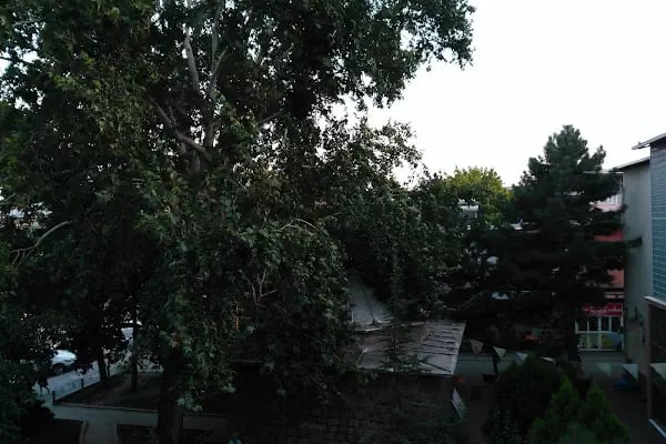 Urfa Ocakbaşı Ciğer Ve Kebap Salonu - Resim 18