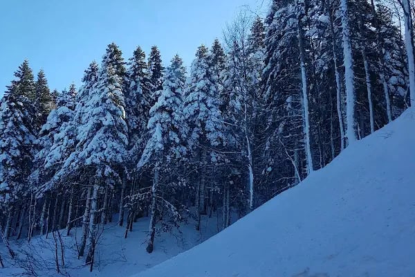 ULUDAĞ 2.BÖLGE KAYAK MERKEZİ - Resim 8