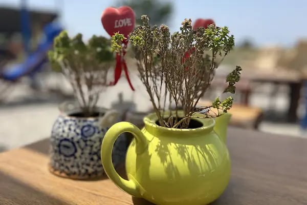 Dalaman Airport Vesta Cafe - Resim 17