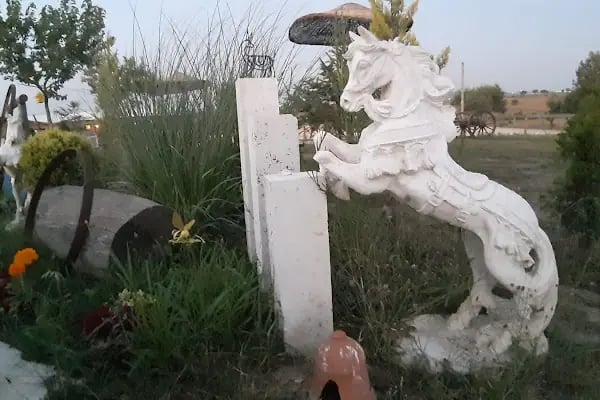At ve Sanat Binicilik - Resim 7