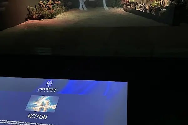 Digital Hayvanat Bahçesi Araç Girişi - Resim 1