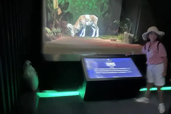 Digital Hayvanat Bahçesi Araç Girişi - Resim 8