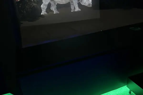 Digital Hayvanat Bahçesi Araç Girişi - Resim 7