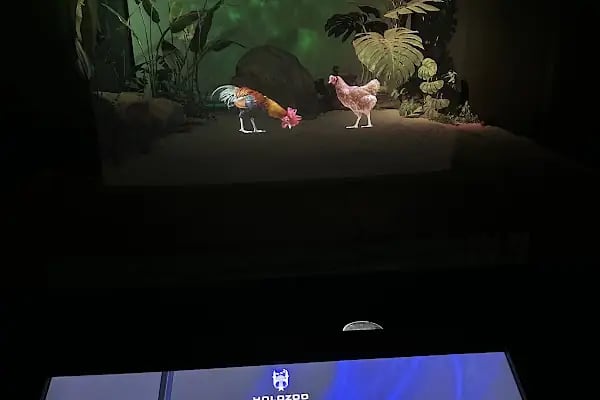 Digital Hayvanat Bahçesi Araç Girişi - Resim 4
