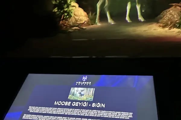 Digital Hayvanat Bahçesi Araç Girişi - Resim 9