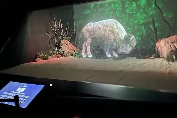 Digital Hayvanat Bahçesi Araç Girişi - Resim 5