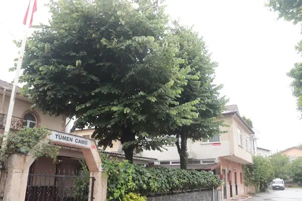 Tümen Cami - Resim 11