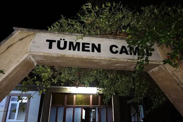 Tümen Cami - Resim 15