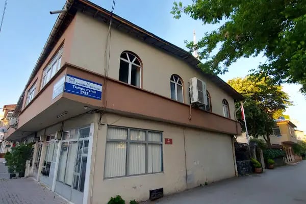 Tümen Cami - Resim 4